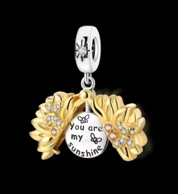 Charm 